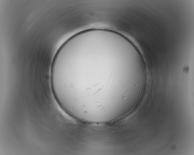 X0000112741343200909101506