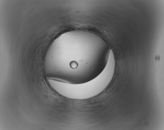 X0000112741345200909101506