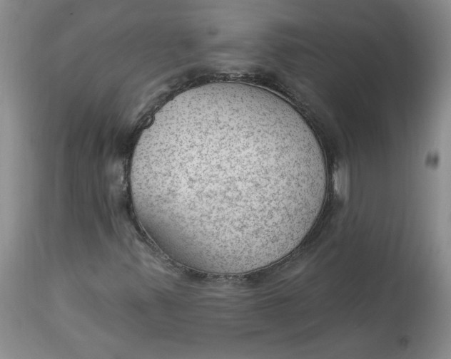 X0000112741347200909101506