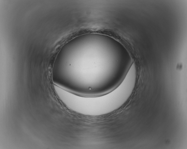 X0000112741349200909101506