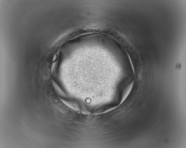 X0000112741350200909101506