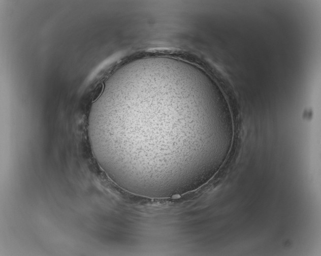 X0000112741351200909101506