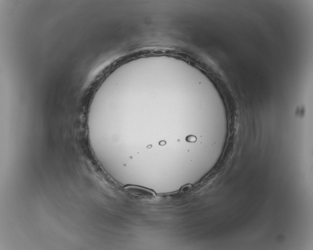 X0000112741352200909101505