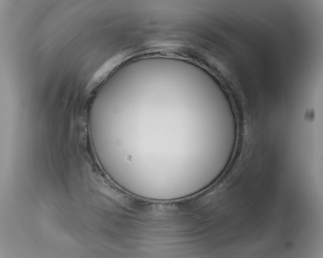 X0000112741354200909101505