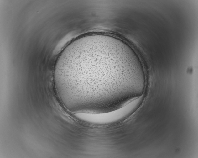 X0000112741355200909101505