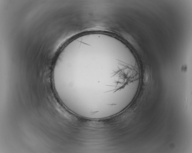 X0000112741356200909101505