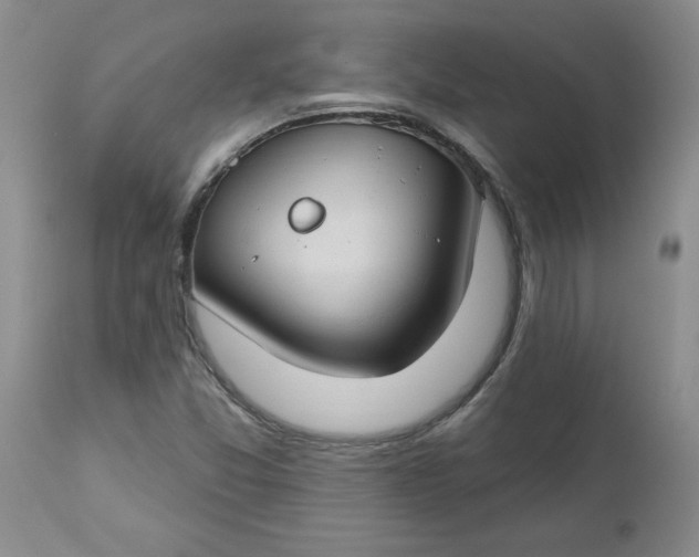 X0000112741357200909101505