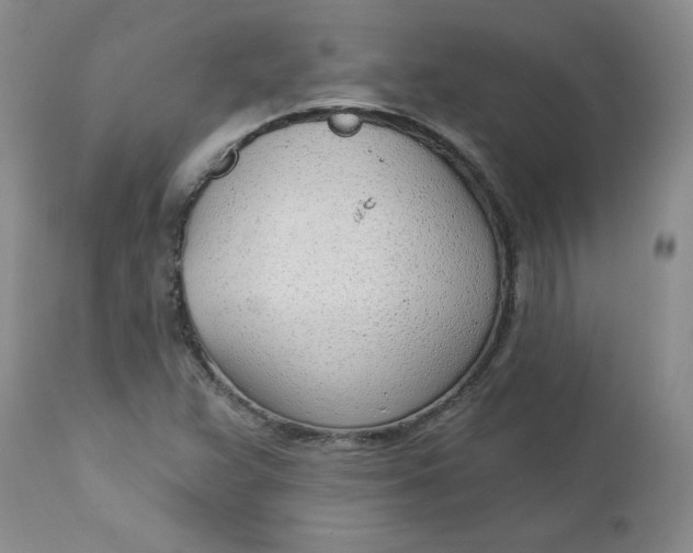 X0000112741359200909101505