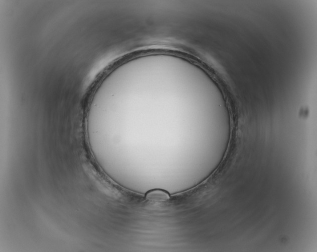 X0000112741360200909101505