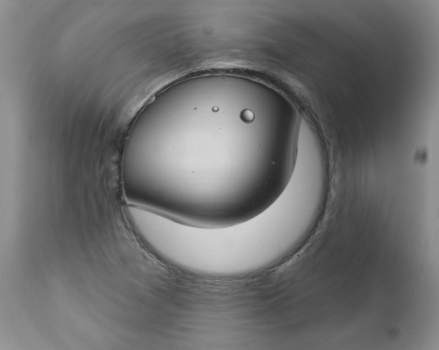 X0000112741361200909101505