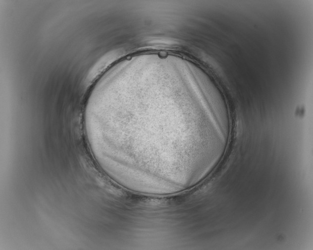 X0000112741362200909101505