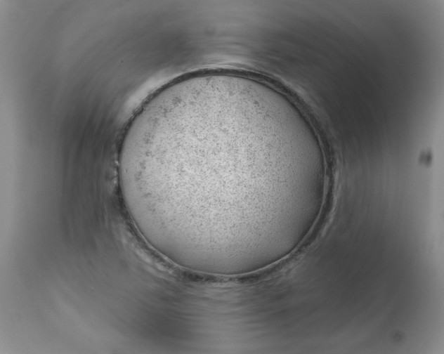 X0000112741363200909101505