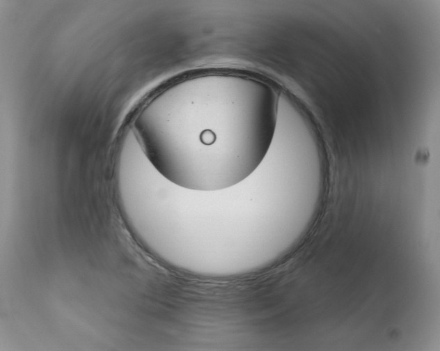 X0000112741364200909101505