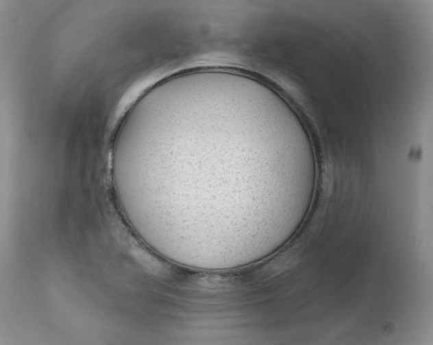 X0000112741366200909101505