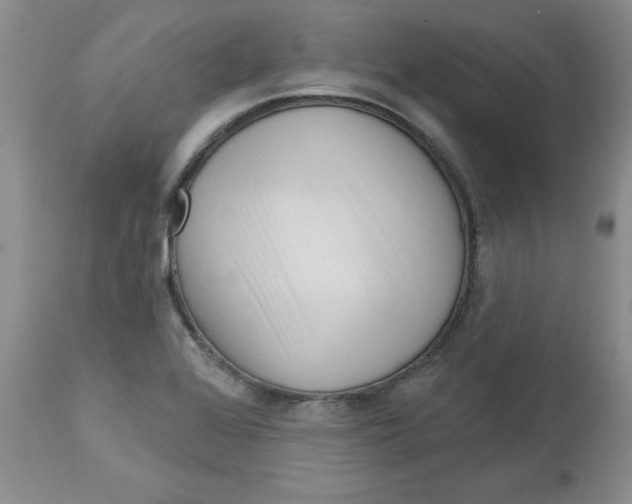 X0000112741368200909101505