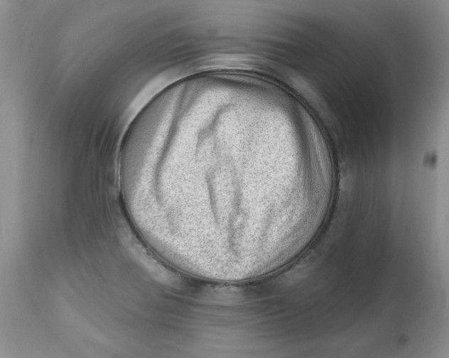 X0000112741370200909101505