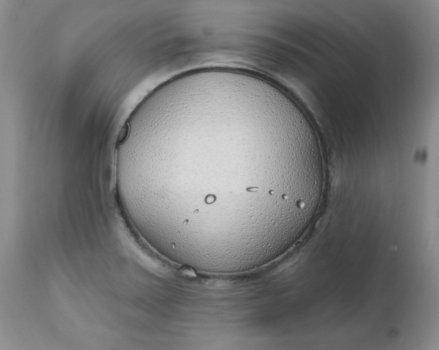 X0000112741371200909101505