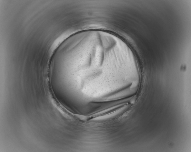 X0000112741373200909101505