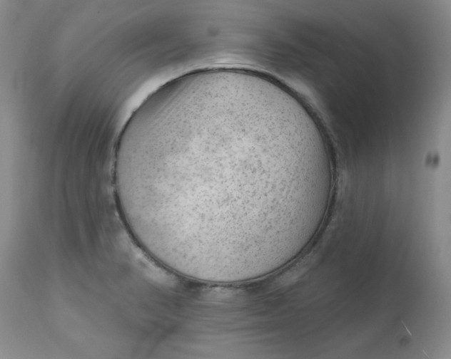 X0000112741374200909101505