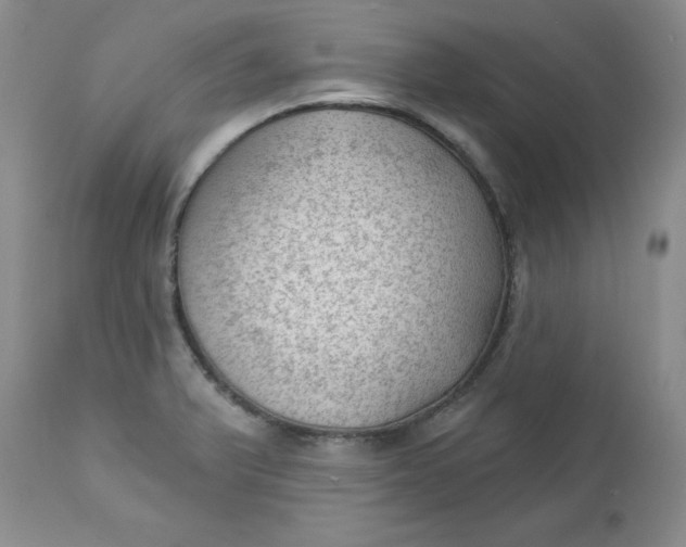 X0000112741375200909101505