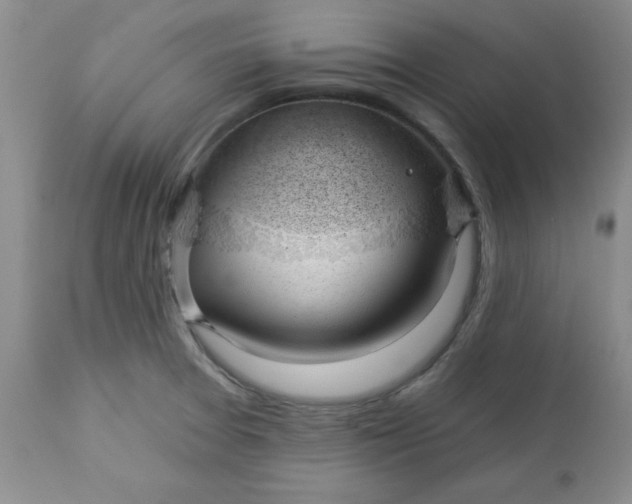 X0000112741377200909101505