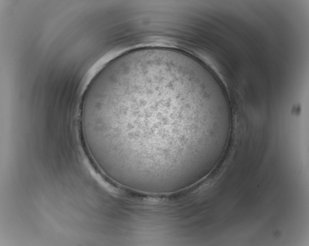 X0000112741379200909101505