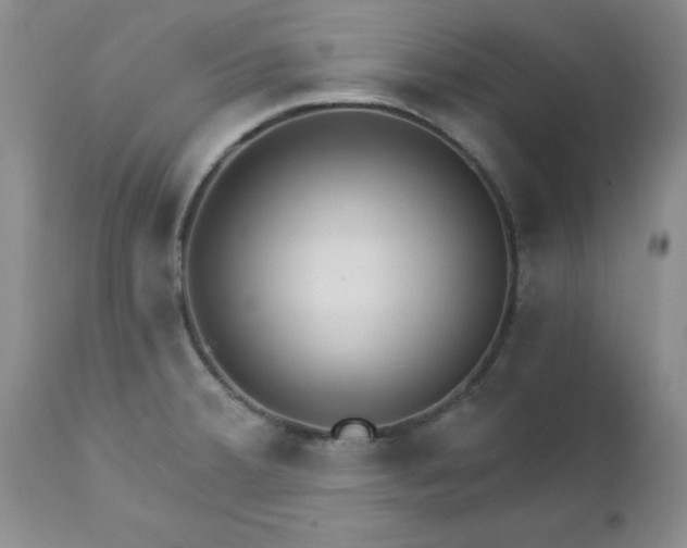 X0000112741380200909101505