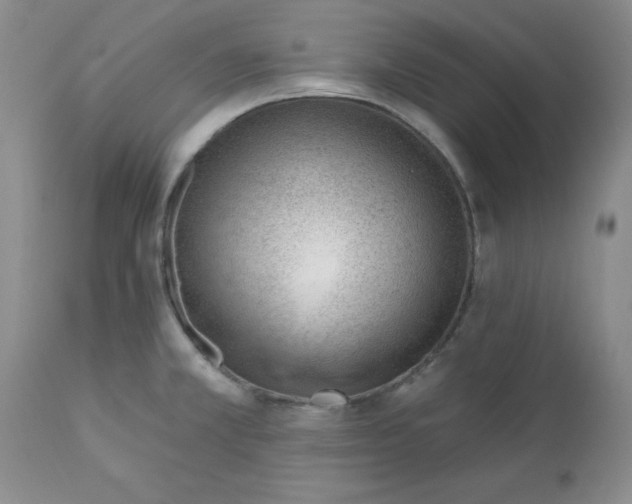 X0000112741381200909101505