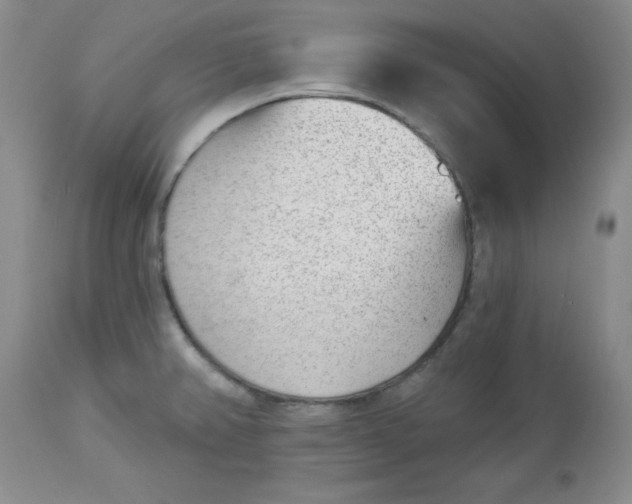 X0000112741382200909101505