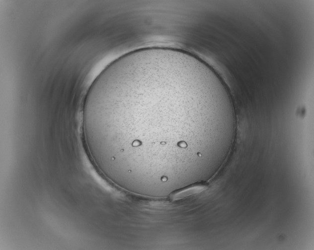 X0000112741383200909101505