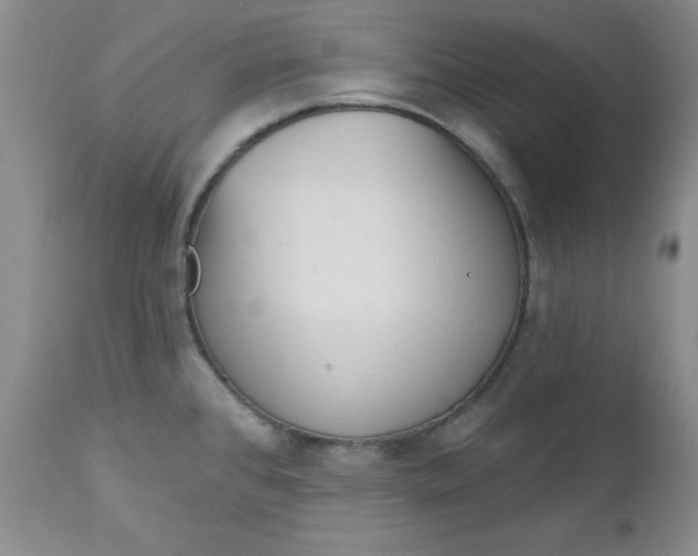 X0000112741384200909101505