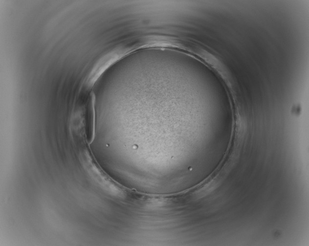 X0000112741385200909101505