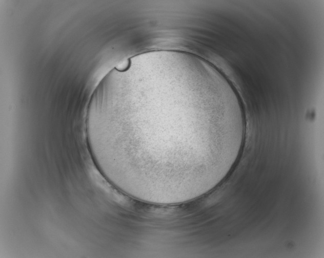 X0000112741386200909101505