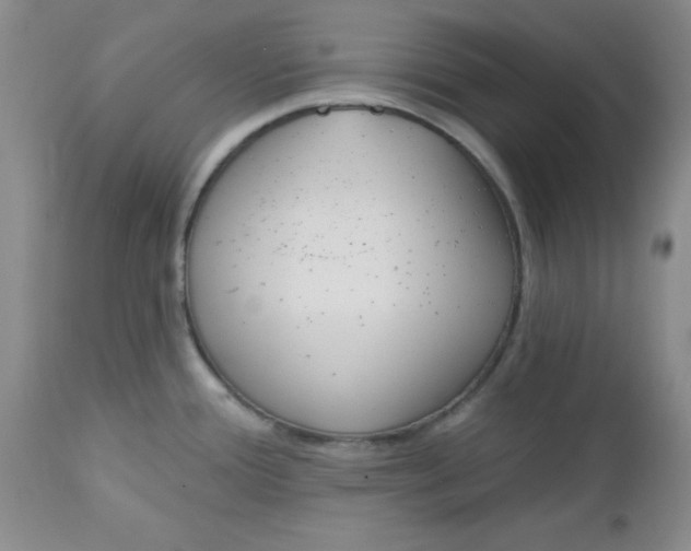 X0000112741388200909101505