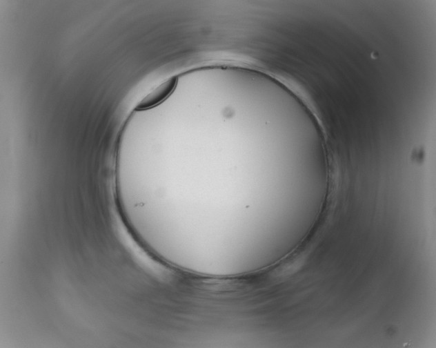 X0000112741391200909101505