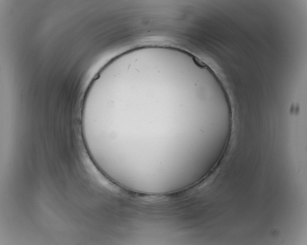 X0000112741392200909101505