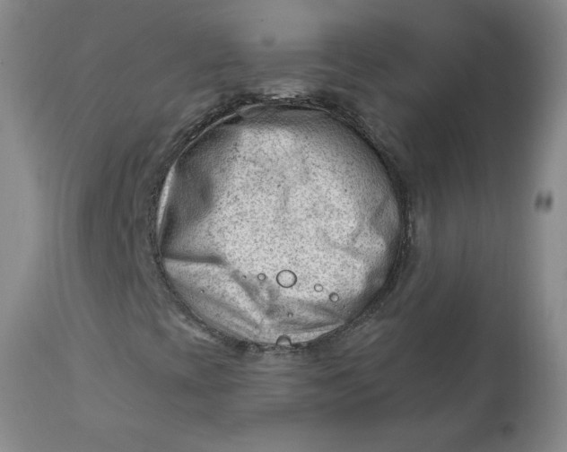 X0000112741393200909101504