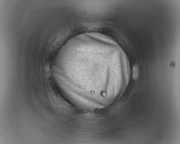 X0000112741395200909101504