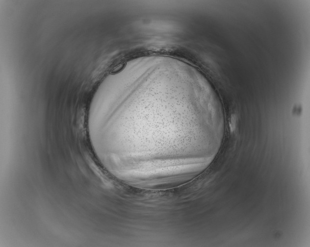 X0000112741396200909101504