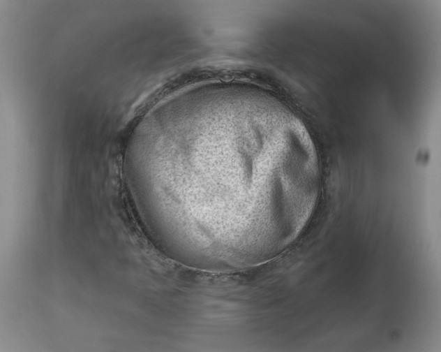 X0000112741397200909101504