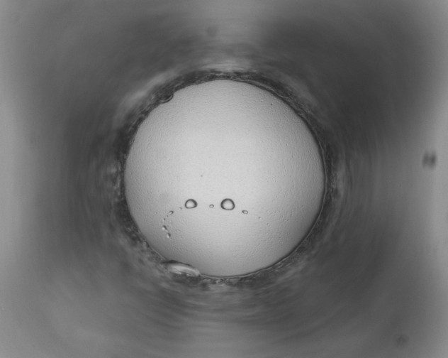 X0000112741398200909101504