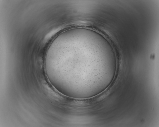 X0000112741402200909101504