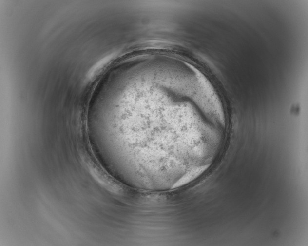 X0000112741403200909101504