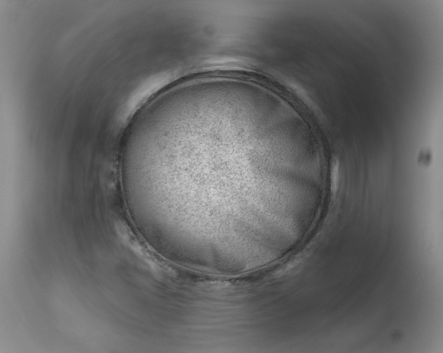 X0000112741405200909101504