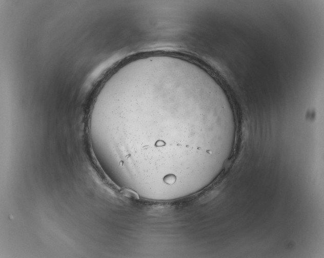 X0000112741406200909101504