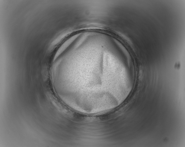 X0000112741407200909101504