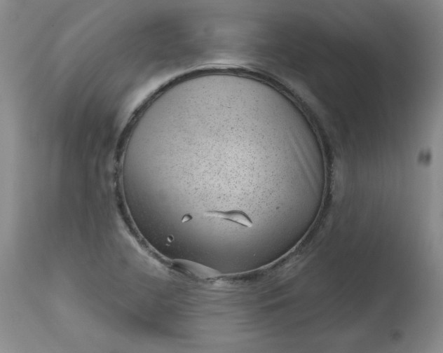 X0000112741412200909101505