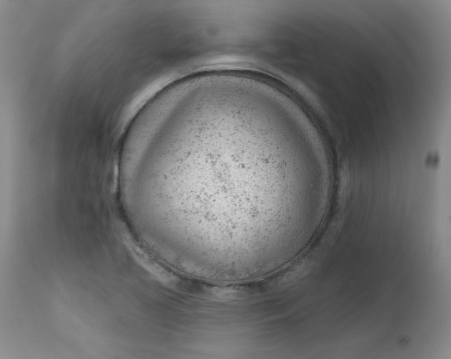 X0000112741413200909101505