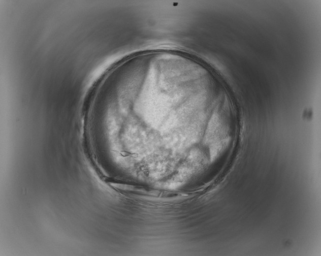 X0000112741414200909101505