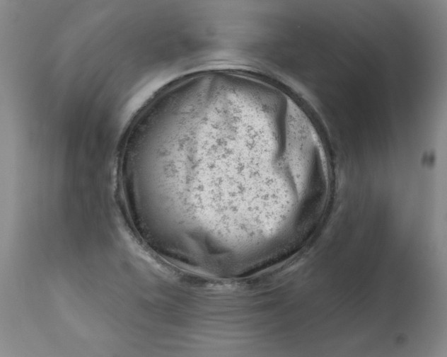 X0000112741415200909101505